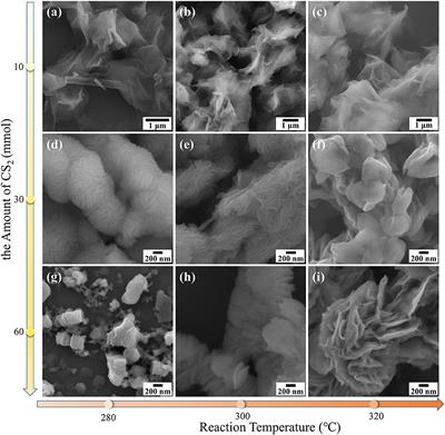 Colloidal Synthesis of NbS2 Nanosheets: From Large-Area Ultrathin Nanosheets to Hierarchical Structures